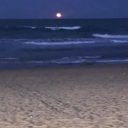 Sunny La Mata Торевьиа